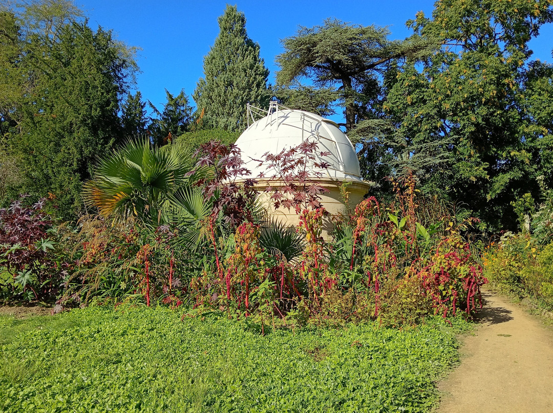 Jardin des Plantes de Montpellier-蒙彼利埃必去景点