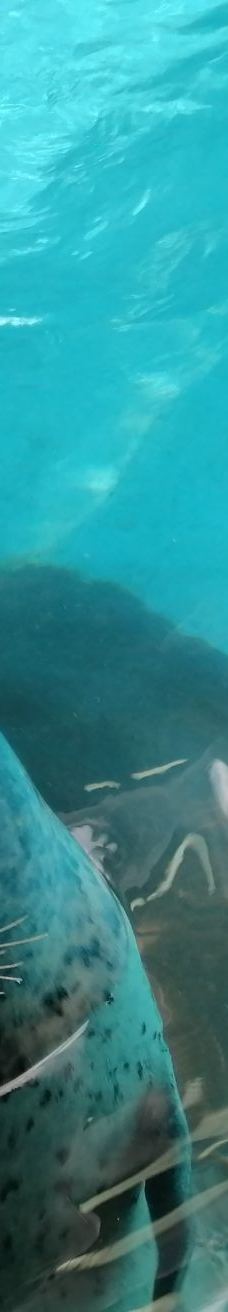 合肥海洋世界-合肥