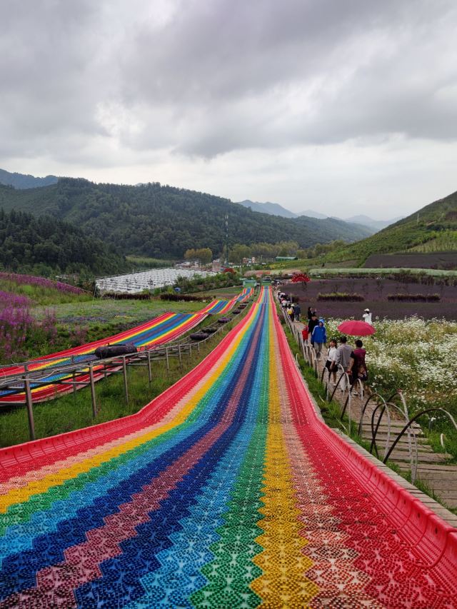 边麻沟花海(暂停开放)旅行图片 1