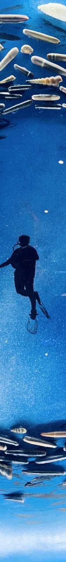 贝壳王国-秦皇岛