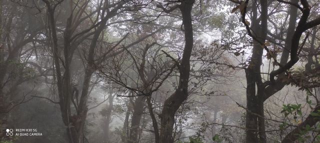 屏山悬索玻璃桥旅行图片 9