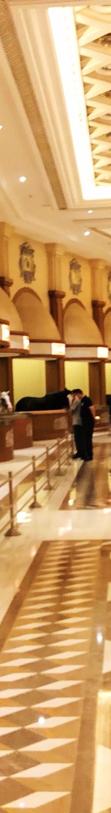 海澜飞马水城-江阴