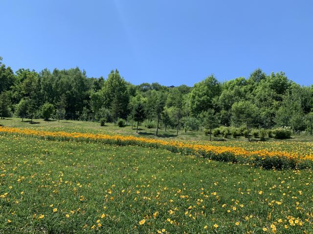 长白山万达弗库伦湖雪上乐园旅行图片 2