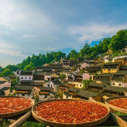 黄山风景区+千岛湖景区+婺源篁岭3日2晚跟团游