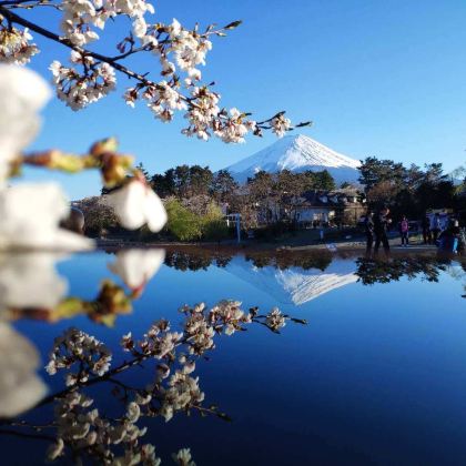 日本东京+富士山+箱根5日4晚私家团