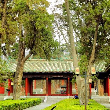 麦积山风景名胜区4日3晚自由行