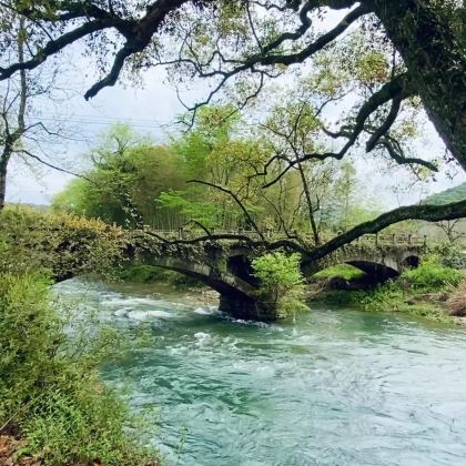 安徽安庆+天柱山+祁门牯牛降历溪+西递4日3晚自由行