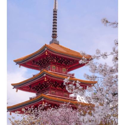 武汉+黄鹤楼+东湖生态旅游风景区+武汉大学5日4晚私家团