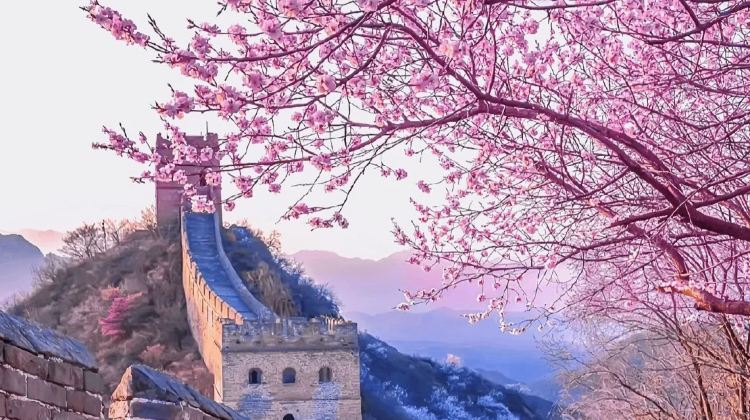 4D3N · Group Tours · Beijing + The Palace Museum + Mutianyu Great Wall + Temple of Heaven + Summer Palace + Lama Temple+Shichahai