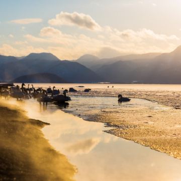 日本北海道+带广+阿寒湖+网走+札幌+登别+函馆+洞爷湖町11日10晚私家团