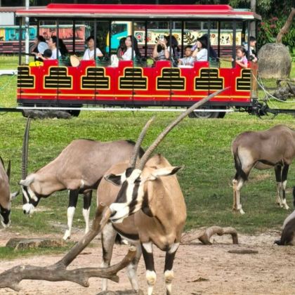 广州长隆旅游度假区+珠海长隆旅游度假区5日4晚自由行