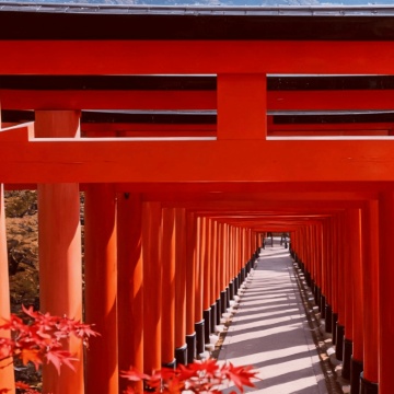 日本大阪+京都+奈良+岚山+神户5日4晚拼小团