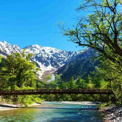 日本名古屋+大阪+京都+奈良6日5晚跟团游