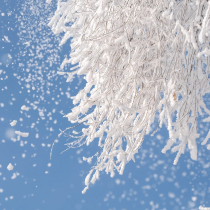 哈尔滨+雪乡+延吉+长白山7日6晚跟团游