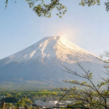 日本东京+伊豆+富士山6日5晚私家团