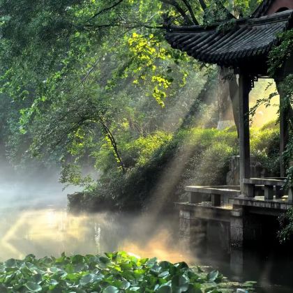 济南+泰安+曲阜+淄博+青岛5日4晚私家团