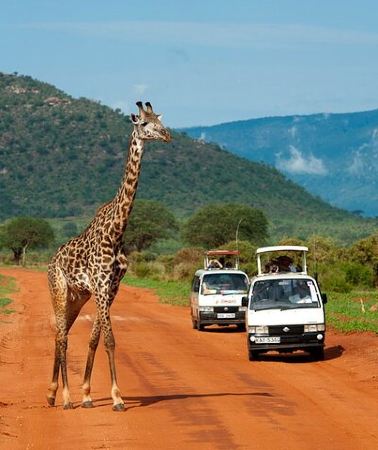 2D1N • 2 day Tsavo East from Diani/Mombasa Jeep 4x4 Safari with Options