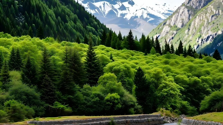 3D2N · Private Tours · Immersive top 3 Western Sichuan highlights - Mt. Siguniang, Bipenggou, Dagu Glacier - one-stop for snow peaks, glaciers, alpine lakes, grasslands & rhododendrons.
