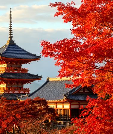 9D8N • Japan + Osaka + Kyoto + Hakone + Mount Fuji + Tokyo