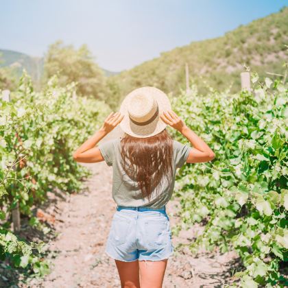 澳大利亚悉尼+汉密尔顿岛+墨尔本+心形礁+大洋路步道13日12晚私家团