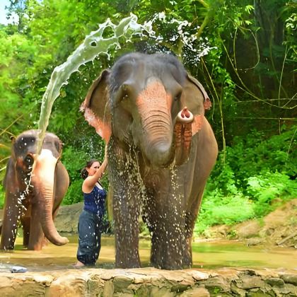泰国曼谷6日5晚私家团
