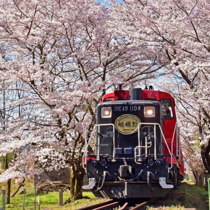 日本大阪+京都+神户5日4晚私家团