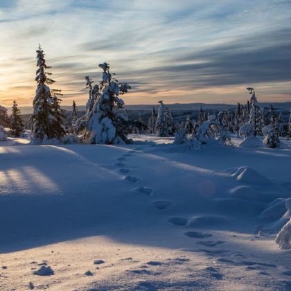 挪威斯塔万格+沃斯小镇+布道台8日7晚私家团