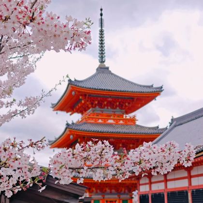 徒步·大阪+伊势市+白滨町+熊野古道6日5晚私家团