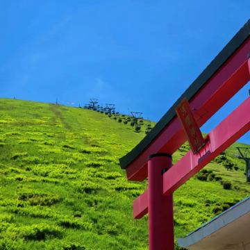 日本东京+伊豆+热海市+富士山6日5晚私家团