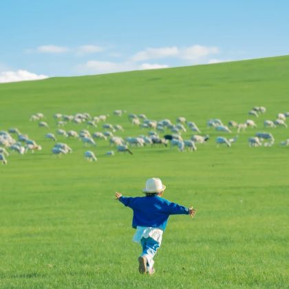 内蒙古呼和浩特+乌兰哈达火山地质公园+辉腾锡勒草原+响沙湾3日2晚跟团游