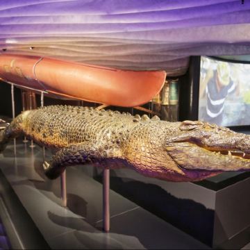 澳大利亚悉尼+猎人谷+斯蒂芬斯港+蓝山+堪培拉7日6晚私家团