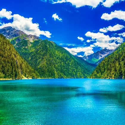 王朗大熊猫探秘营地+九寨沟风景区+黄龙风景名胜区5日4晚拼小团