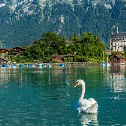 法国+意大利+瑞士+德国+奥地利+荷兰+比利时+卢森堡+列支敦士登+斯洛文尼亚+克罗地亚+匈牙利+捷克16日跟团游