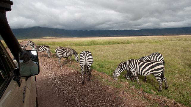 6-Day Tanzania Camping Adventure Tour from Arusha·Mto wa Mbu Community Visit | Ngorongoro | Serengeti National Park