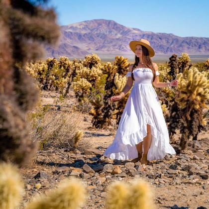 美国洛杉矶+约书亚树国家公园2日1晚私家团