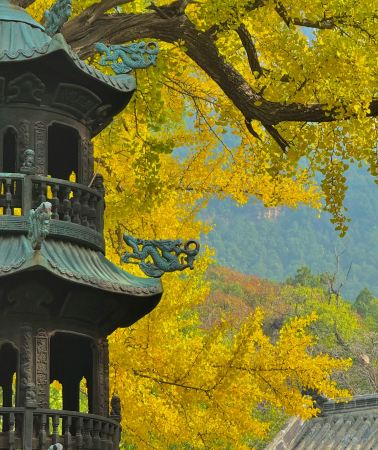 8日7晚 • 官方嚴選·全線山東丨濟南＋泰山風景區＋曲阜＋青島＋煙台＋威海