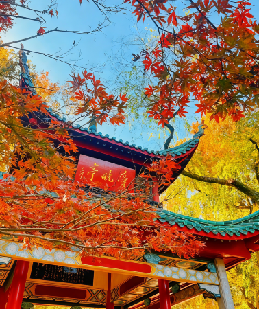 5天4晚 • 三湘人文深度之旅｜1 對 1 文史導遊帶隊 雙偉人故里＋嶽麓書院＋橘子洲＋湖南博物院 探秘漢代絕世文物 尊享體驗：贈送茶顏悅色