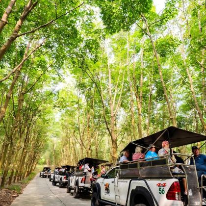 泰国苏梅岛+涛岛+南园岛+安通群岛国家海洋公园9日8晚拼小团