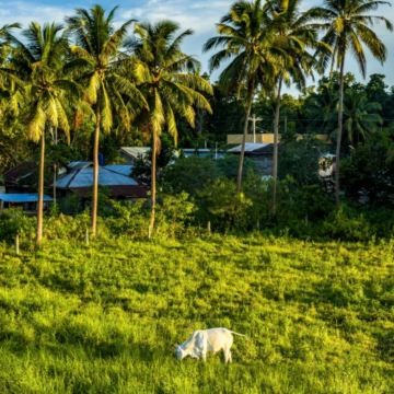 菲律宾7日6晚私家团