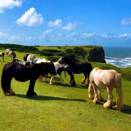 英国伦敦+卡迪夫+斯旺西+彭布罗克郡海岸线国家公园+牛津8日7晚拼小团