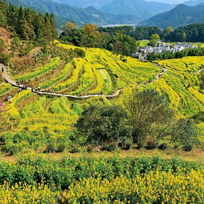 武夷山《印象大红袍》演出+婺源篁岭景区+江岭赏油菜花海+九曲溪竹筏漂流+景德镇7日6晚私家团