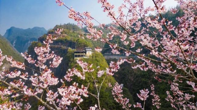 恩施土家族苗族自治州、恩施+10