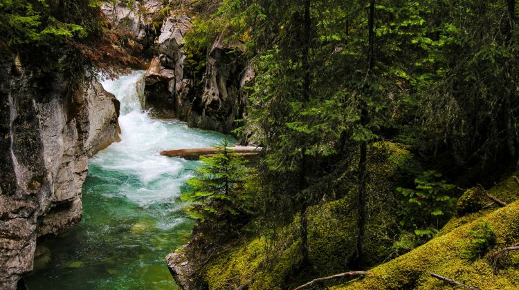 4-Day Banff & Jasper National Park Tour·Columbia Icefield, Maligne Lake & Banff Gondola | Canadian Rockies Adventure