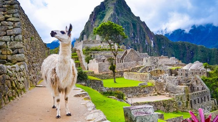 5D4N · Group Tours · 5-Day ||All Included|| Excursion to Machupicchu,Humantay Lake & Rainbow Mountain