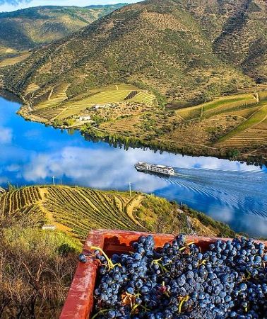 5D4N • 5 Days Private Tour In Portugal from Lisbon