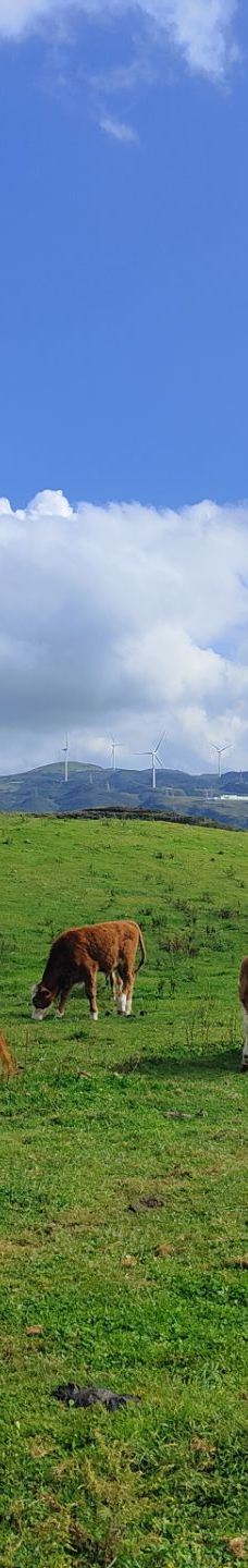 乌蒙大草原-盘州