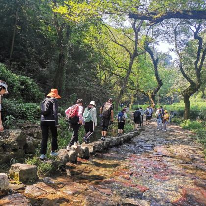 杭州+上海4日3晚私家团