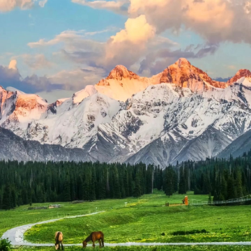 新疆北疆+乌鲁木齐8日7晚跟团游