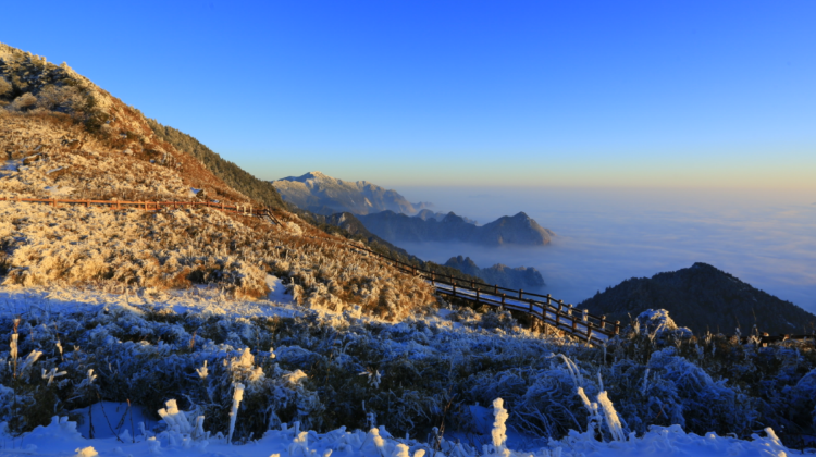 神农架、宜昌+8