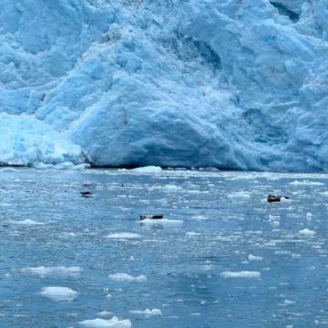 美国费尔班克斯+安克雷奇8日7晚私家团